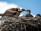 Everglades National Park 