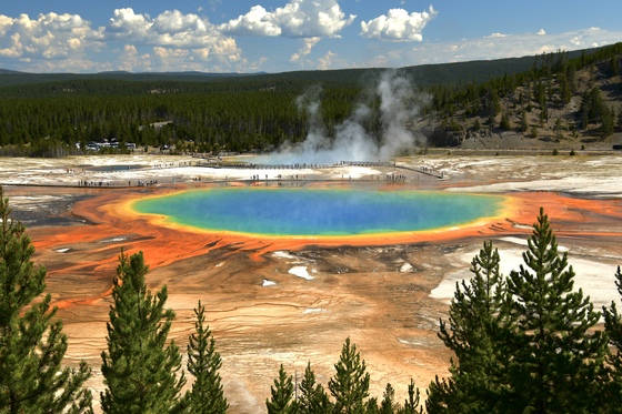 Yellowstone National Park