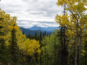 DENALI NATIONAL PARK