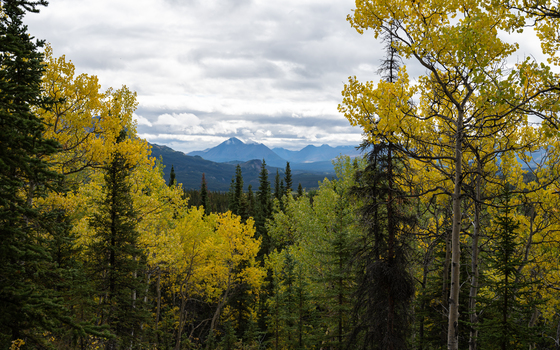 DENALI NATIONAL PARK