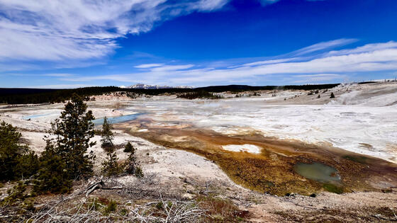 Yellowstone National Park