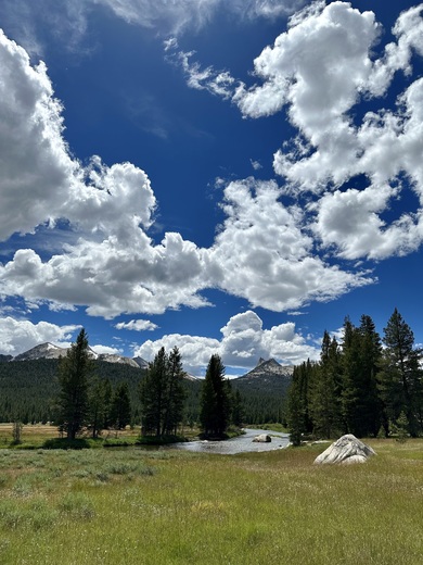 Yosemite National Park