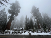 Sequoia National Park