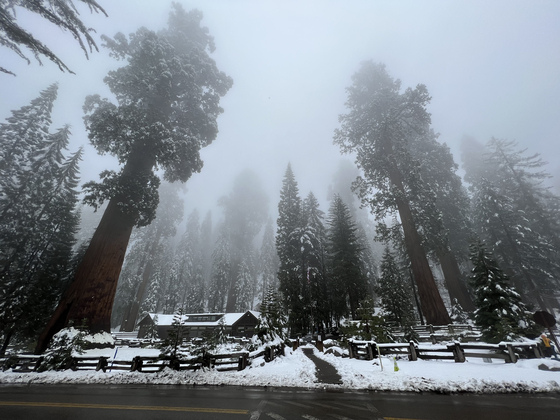 Sequoia National Park