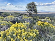 Craters of the Moon National Monument