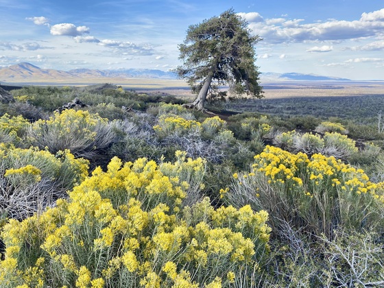 Craters of the Moon National Monument