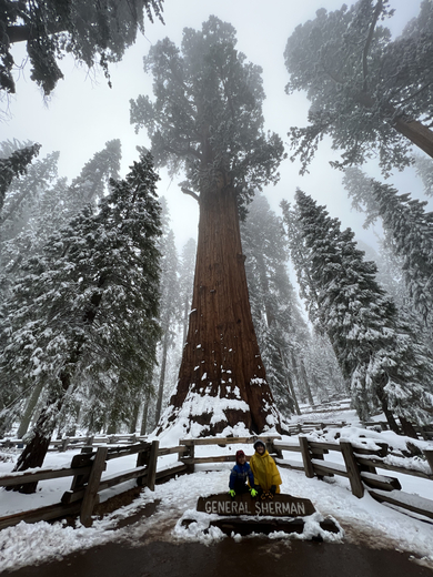 Sequoia National Park