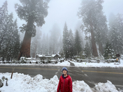 Sequoia National Park