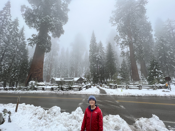 Sequoia National Park