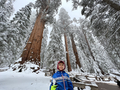 Sequoia National Park