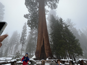 Sequoia National Park