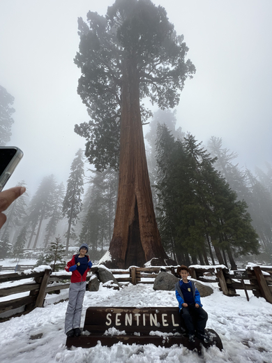 Sequoia National Park