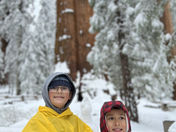 Sequoia National Park