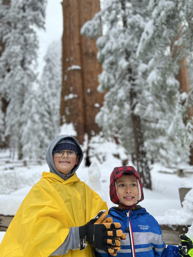 Sequoia National Park