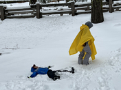 Sequoia National Park