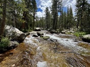 Yosemite National Park