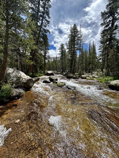 Yosemite National Park