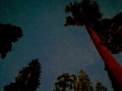 Kings Canyon National Park