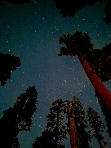 Kings Canyon National Park