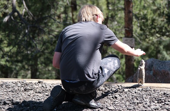 Rocky Mountain Nantional Park