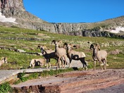 Glacier National Park