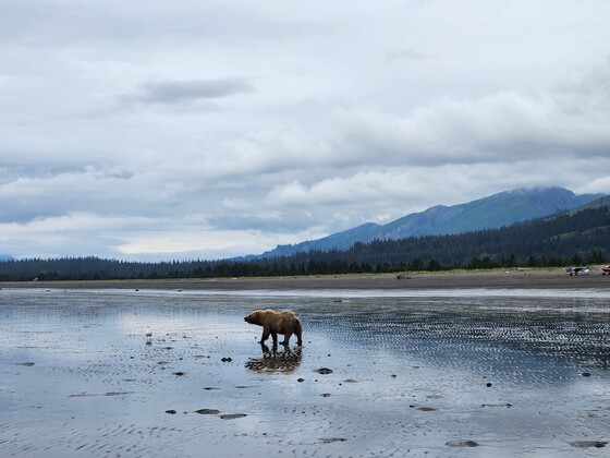Cook Inlet
