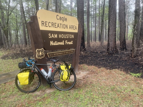 Cagle Recreation Area Sam Houston National Forest