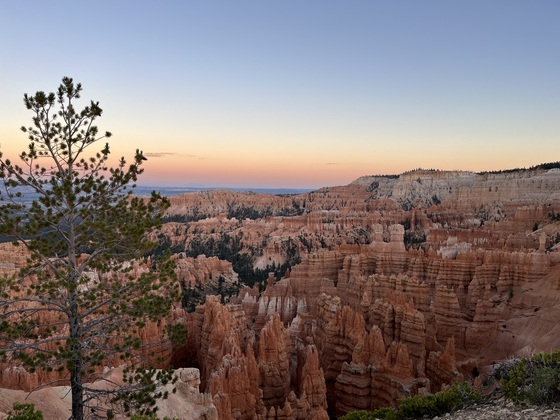 Bryce National Park