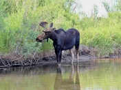 Grand Teton National Park 
