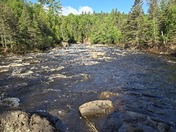 Superior National Forest