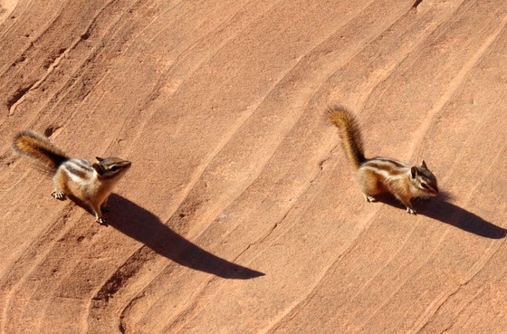 Zion National Park