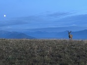 Olympic National Park