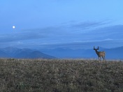 Olympic National Park