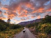 Fishlake National Forest