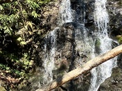 Great Smoky Mountains 