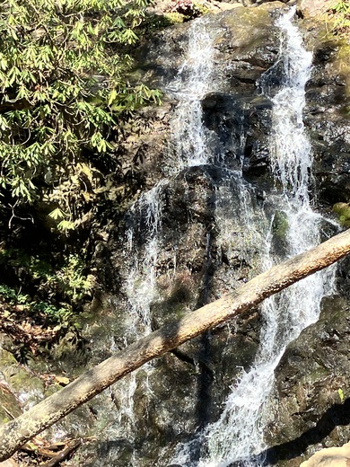 Great Smoky Mountains 