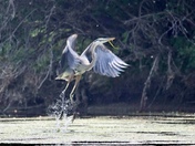 Grand Teton national Park