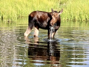 Grand Teton National Park