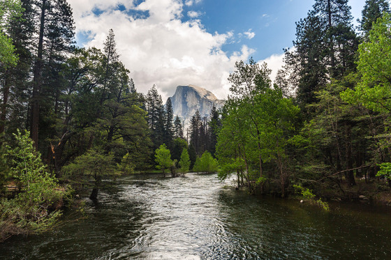 Yosemite National Park