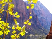 Zion National Park