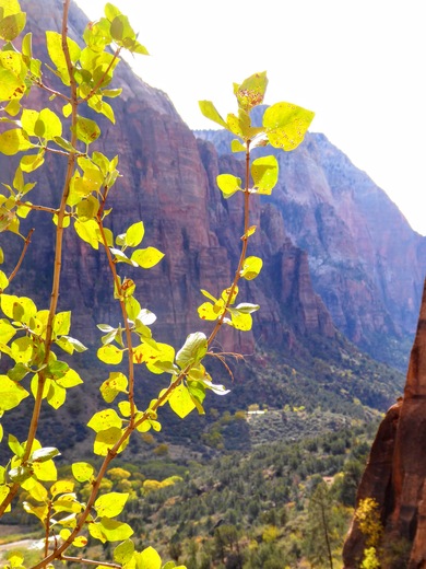 Zion National Park