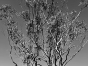 Point Reyes National Seashore