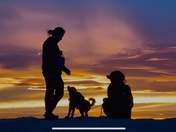 Joshua Tree National Park