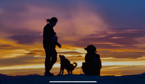 Joshua Tree National Park