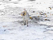 Grand Teton National Park