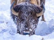 Grand Teton National Park
