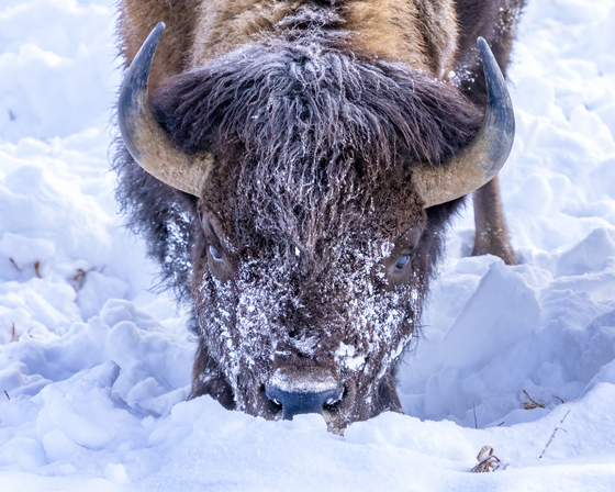 Grand Teton National Park