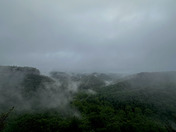 Red River Ridge, Daniel Boone National Forest 