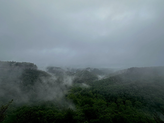 Red River Ridge, Daniel Boone National Forest 