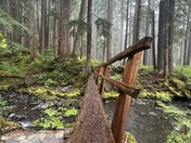 Olympic National Park 